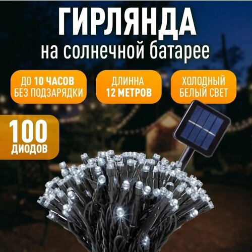      , 100LED   , -, 