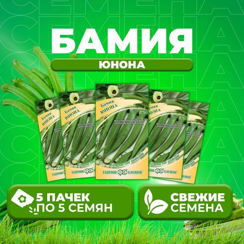 ���������� ����� (����) �����, 5��, ������, �� ������ (5 ��)