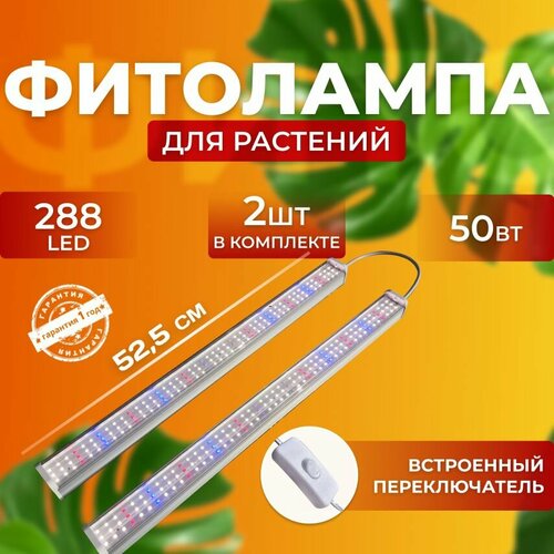       ,     ,    ,  50  288 LED   , -, 