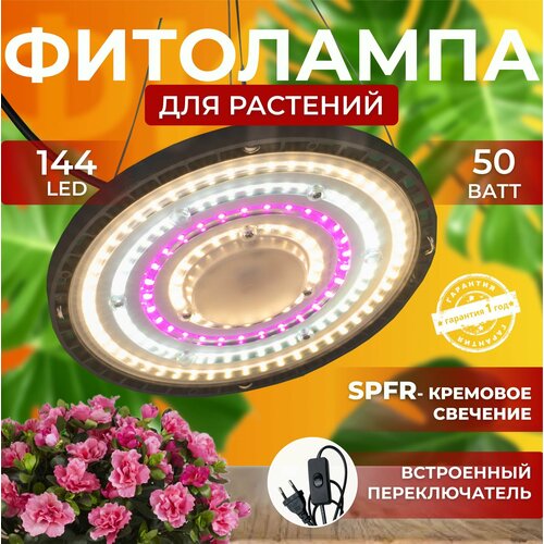         ,  ,  ,     144 LED 50    , -, 