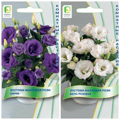 ���������� ������ ��������� �������� � ������ ������� �������� ����, ����� 2 ��.