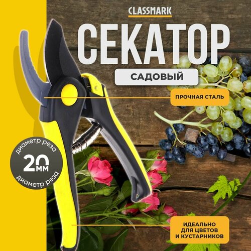   Classmark   , ,     ,  ,      , -, 