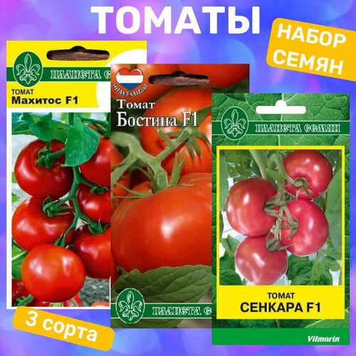 ���������� ����� ����� ������� / ������� F1, ������� F1, ������� F1