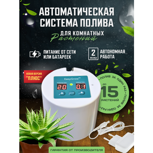 ���������� ��������� ��� ��������� �������� �� 15 ��������� �� ���� � �������� � ��������, ��������� ����� ��� �������� ������