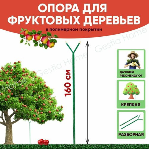 ���������� ����� ������� ��� ��������� �������� 1,6 � Gestia Home