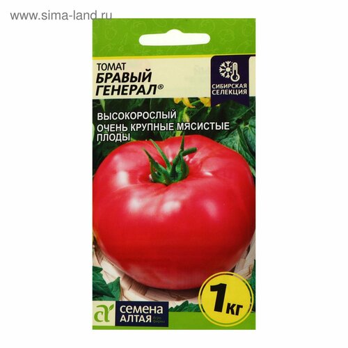 ���������� ������ ����� 