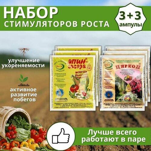 ���������� ����������� ����� ����������� ����� � �������� �������� ����-������ 1 �� + ������ 1 ��, 6 ��