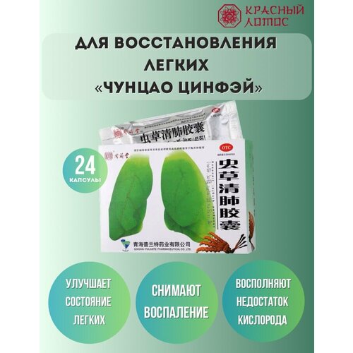 ���������� ������� ��� �������������� ������ ������ ������ 24 �������