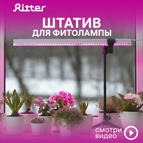       5 Ritter PLANTA, , , , 1, 56294 8, Ritter   , -, 