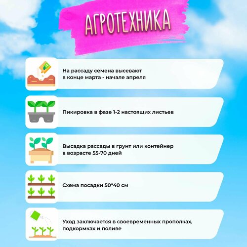 ���������� ����� ������� ��������� 10 �� ��� ����������� ������