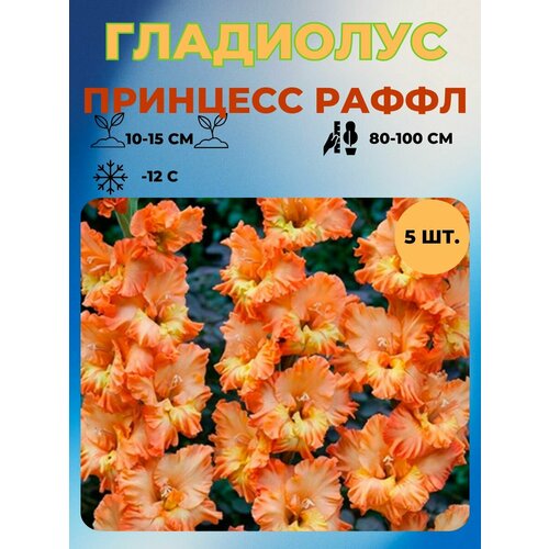 ���������� ��������� �������� 5 ��.