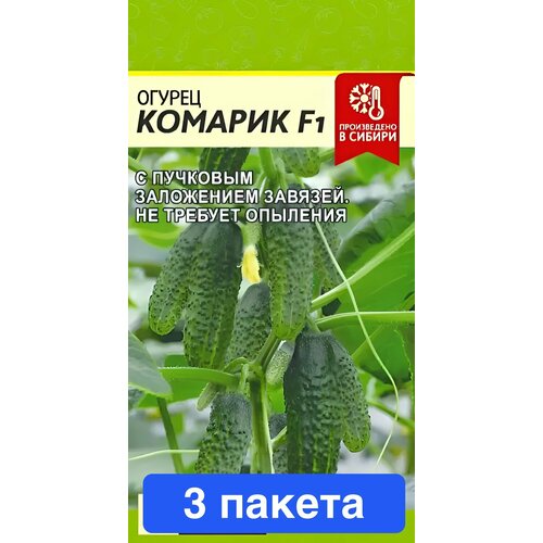 ���������� ������ ������ ������ ����� 