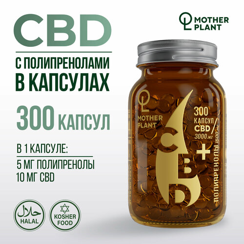 ���������� ����� CBD � ������������� � �������� (300 ������ �� 10 ��), Motherplant