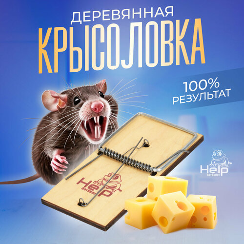 ���������� ��������� - ���������� ���������� /������/�� ��������/�����/����/�����������/������� 15,5*7,5 �� HELP