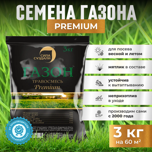 ���������� ������ �������� ����� 