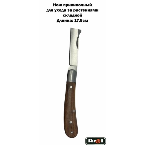 ���������� ��� �����������, ��� ����� �� ����������/ Skroll