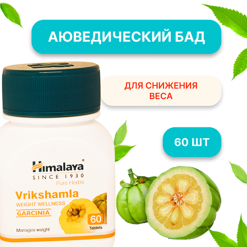 ���������� ������������� ������� ������� Himalaya Vrikshamla ��� �������� ����, 60 ��������