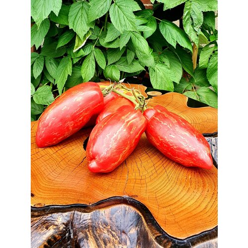 ���������� ������ ������ �������� ���� (Fuego Rosa) / Seeds And Goods / � �������� zip-lock ��� ���������� 10 �����