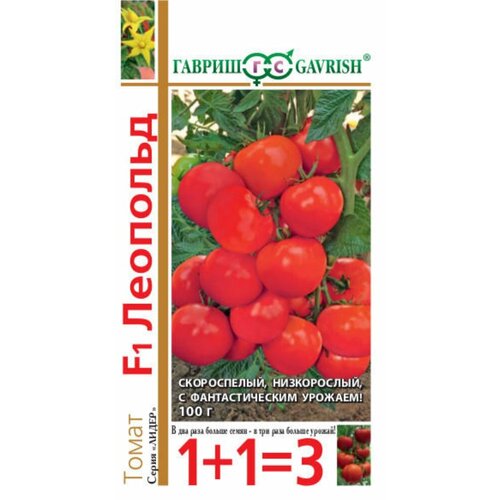 ���������� ������ ����� �������� F1 25�� ��� ������ (������) 1+1