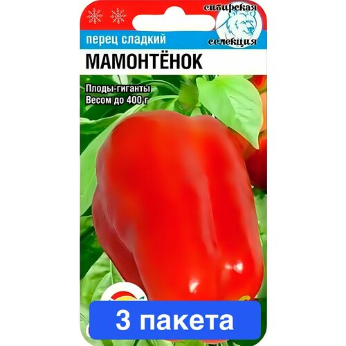 ���������� ������ ������ ��������� ��� 