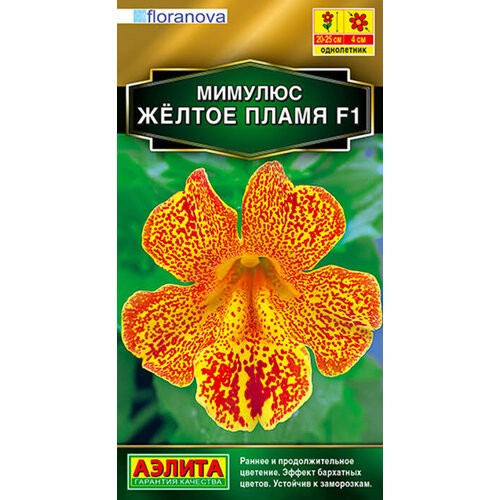 ���������� ������ ������� ������ ����� F1 10�� ��� 20�� (������)