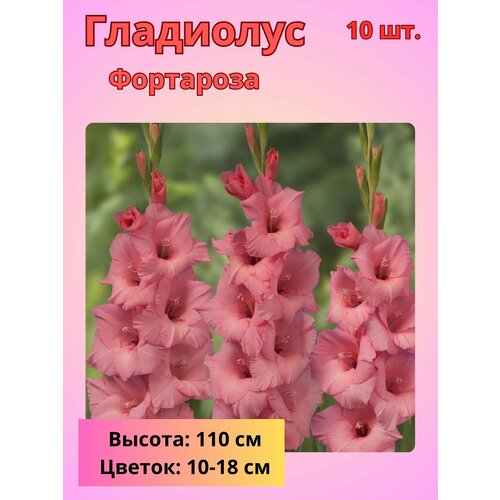 ���������� ��������� ��������������� ���������, �������� ����������