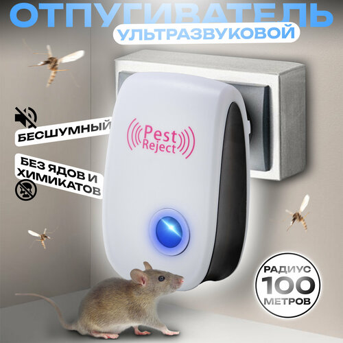 ���������� ������������ ��������������