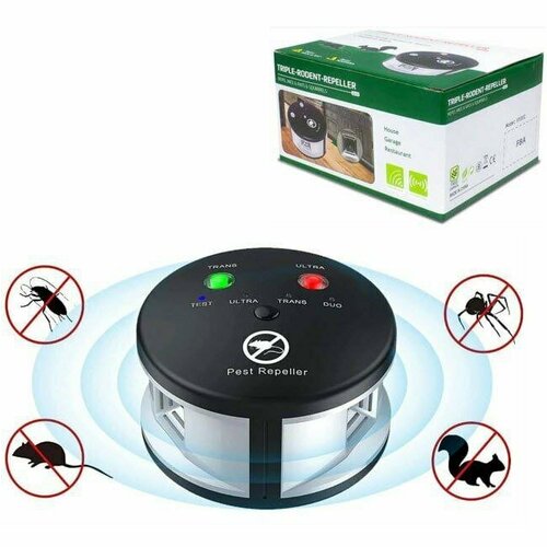 ���������� �������������� ������������ �����, ����, ����� � ������ ��������, ��� ����, ��������, ����