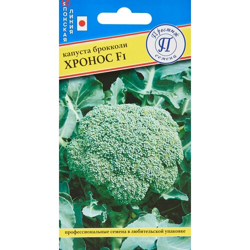 ���������� ������ ������� �������� ������ F1 10�� ������ (�������)