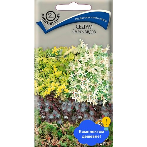 ���������� ������ ������ ����� 