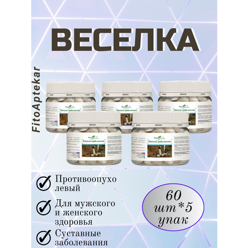 ���������� ���� ������� � �������� 60��*5 ��������