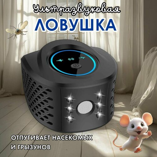 ���������� ������������ 100% - ���������, �������������� ������������ �����, ����, ���������