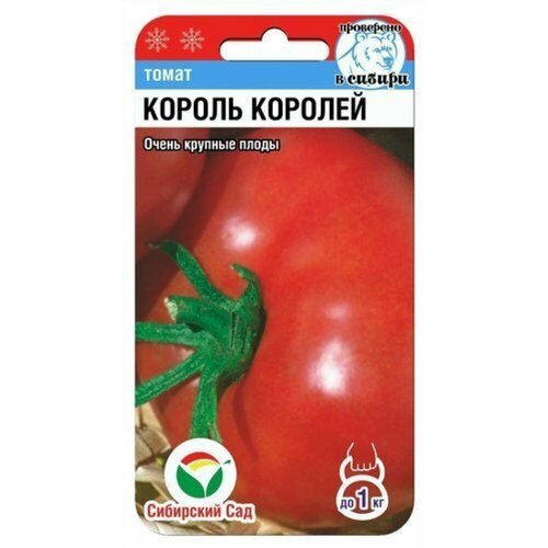 ���������� ������ ����� ������ ������� 20�� ����� (��������� ���)