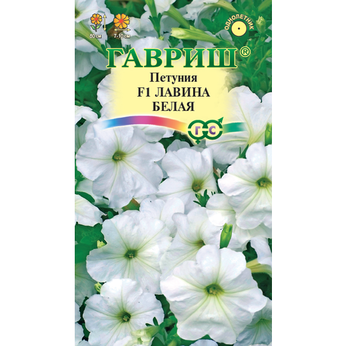 ���������� ������ ������� ������ ����� F1 ��������� 7�� ��� 80�� (������)