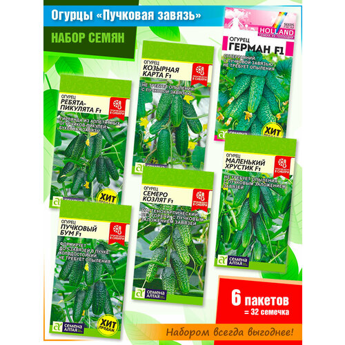 ���������� ����� ����� �������: ������-��������, �������� �����, ������, �������� ���, ������ ������, ��������� ������� �� ������ ����� (6 �����)