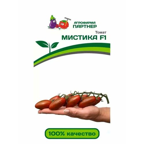 ���������� ������ ������ 