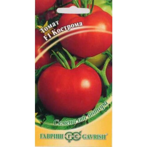 ���������� ������ ����� �������� F1 12�� ������� (������) �����