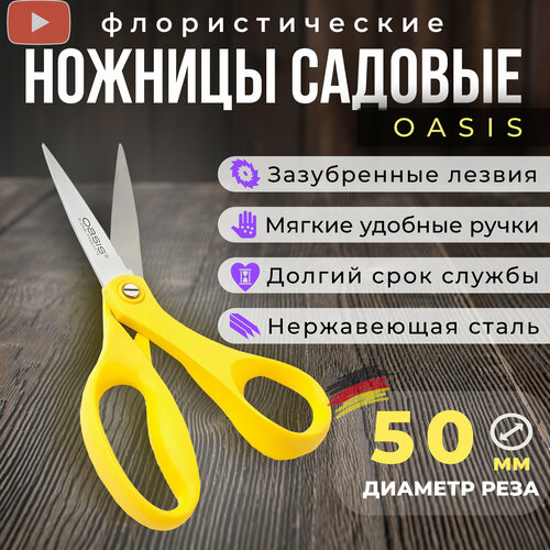 ���������� ������� ������� , ������� ��� ������ Oasis, ��������������