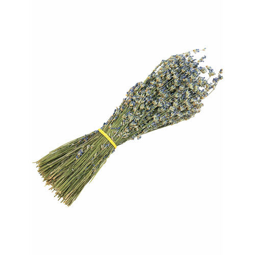 ���������� ����� �������� ���� �����, �� �������, ��� ����, ������ 2024