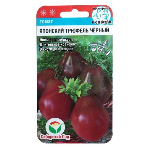 ���������� ������ ����� 