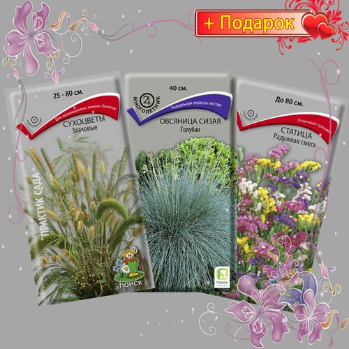 ���������� ����� ����� ������ ���������, �������� �����, ������� (������, ��������),3��.