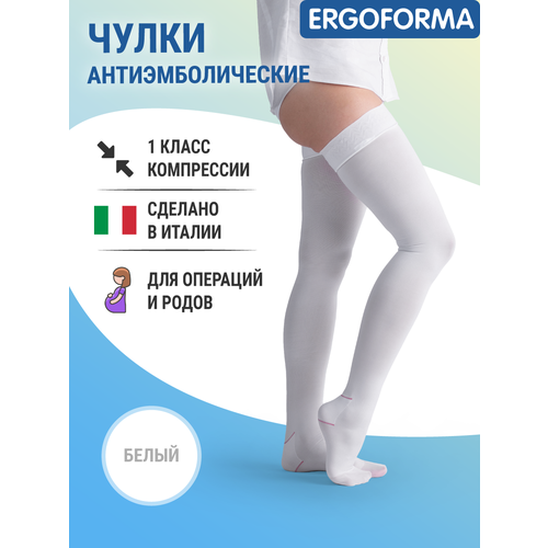   Ergoforma 1  ,  2,    , -, 