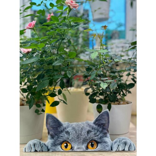 ���������� ������� ����� �� ������� 