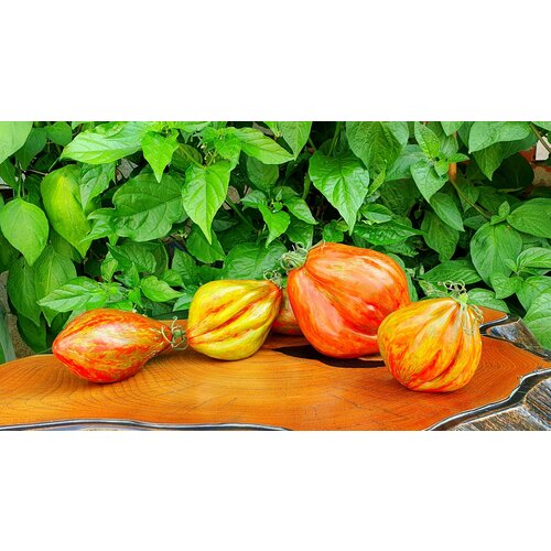 ���������� ������ ������ ��������� ������ (Cuban Salami) / Seeds And Goods / � �������� zip-lock ��� ���������� 10 �����