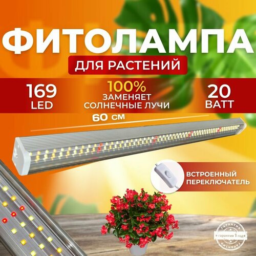     ,    ,     ,  168 LED 20    , -, 