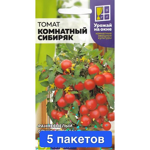 ���������� ������ ������ ������ ����� 