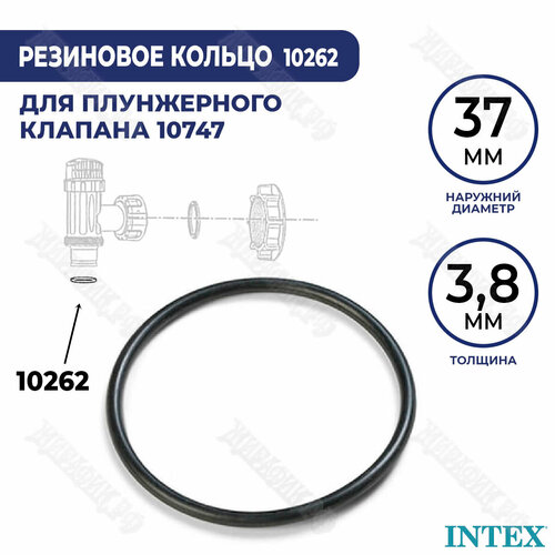   Intex 10262  .    38   , -, 