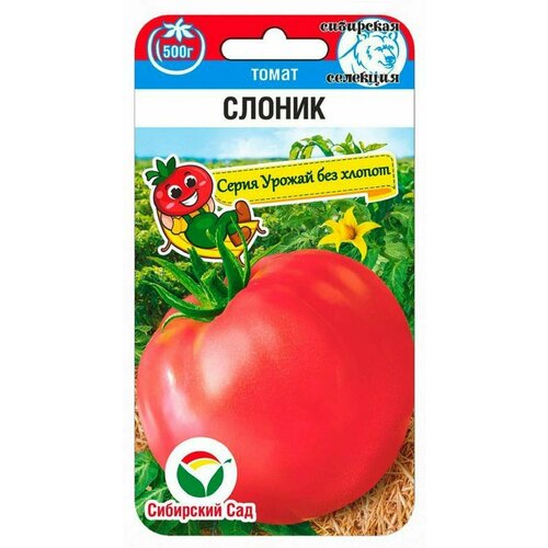 ���������� ����� ������