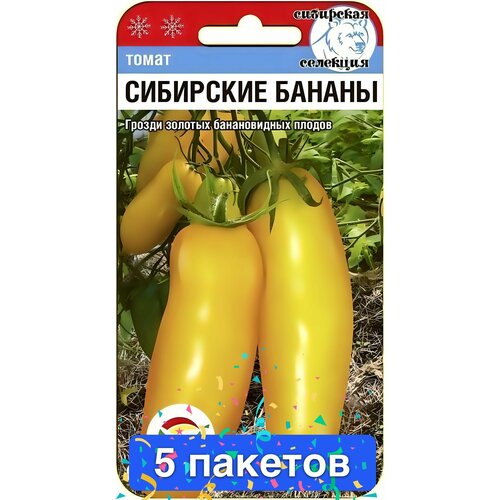 ���������� ������ ������ ��������� ��� 