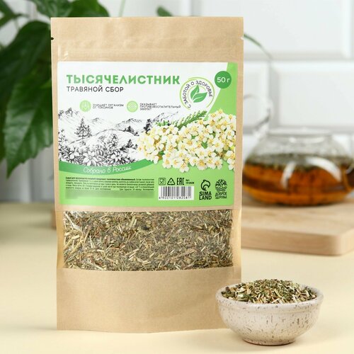 ���������� �������������, �������� ����, ��������������������� ������, �������� ���������, 50 �. 1��.